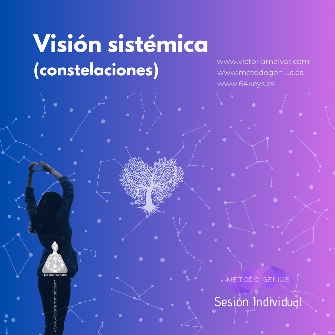 VISION SISTEMICA CONSTELACIONES
